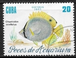 Stamps Cuba -  Peces de acuario - Chaetodon ocellatus
