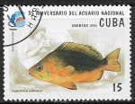 Stamps Cuba -  Peces - Hypoplectrus guttavarius