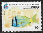 Sellos de America - Cuba -  Peces - Anisotremus virginicus