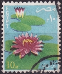 Stamps Egypt -  Nenúfares