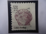 Stamps United States -  Calico Sallop (Argopecten gibbus)
