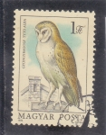 Sellos de Europa - Hungr�a -  Búho granero (Tyto alba)
