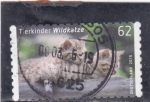 Stamps Germany -  Cachorros de gato