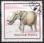 Stamps : Europe : Hungary :  Animales prehistóricos - Platybelodon