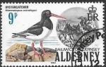 Stamps United Kingdom -  Aves de Alderney