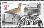 Stamps : Europe : United_Kingdom :  Aves de Alderney