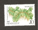 Stamps Russia -  CAMBIADO MBV
