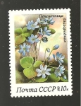 Stamps Russia -  CAMBIADO MBV