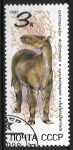 Stamps : Europe : Russia :  Animales prehistóricos - Chalicotherium