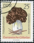 Stamps : Europe : Germany :  Hongos