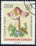 Stamps Germany -  Hongos
