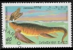 Stamps : Africa : Morocco :  Animales prehistóricos -pleisiosaurus 