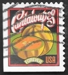 Stamps United States -  4825 - Melón