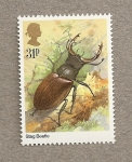 Stamps United Kingdom -  Insectos:Ciervo volante