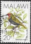 Sellos de Africa - Malawi -  aves