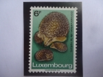Stamps : Europe : Luxembourg :  Erizo - Erizo Europeo (erinaceus europaeus)- Serie: Año Europeo de la Conservación de la Naturaleza.