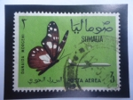 Stamps : Africa : Somalia :  Mariposa- Donaida Morgeni - Serie: Mariposas 1961 - Sello de 3 Chelín Somalí