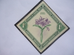Stamps Costa Rica -  Orquídea- Guarianthe skinneri - Exposición Nacional, san José de Costa Rica.