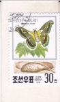 Sellos de Asia - Corea del norte -  Mariposa