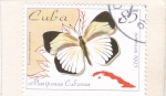 Stamps Cuba -  Mariposa