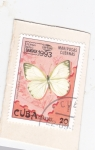 Sellos de America - Cuba -  Mariposa