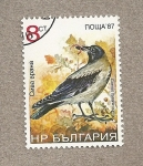 Sellos de Europa - Bulgaria -  Cuervo