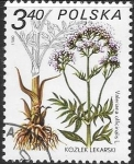 Stamps Poland -  plantas