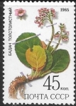 Stamps : Europe : Russia :  plantas