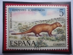 Stamps Spain -  Ed:ES 2105 - Meloncillo - Herpes Ichneumon