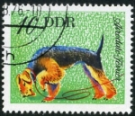 Stamps Germany -  Terrier