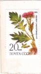 Stamps Russia -   Flor de maíz 