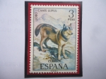 Stamps Spain -  Ed:ES 2104 - Lobo - (Canis Lupus) - Serie: Fauna Hispana  (1972)