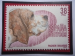 Sellos de Europa - Espa�a -  Ed:Es 2714 - Pachon Navarro (canis Lupus Familiaris) - Serie: Perros de Raza Español