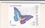 Stamps Hungary -  Mariposa