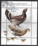 Stamps Moldova -  aves
