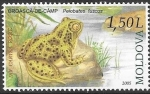 Stamps : Europe : Moldova :  reptiles y anfibios