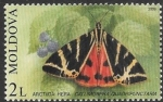 Sellos de Europa - Moldavia -  mariposas