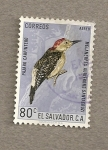 Sellos del Mundo : America : El_Salvador : Pájaro carpintero