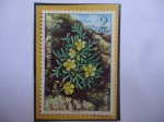 Stamps Spain -  Ed:Es 2221 - Hypericum Ericoides -(Hierba de San Juan - Hipérico) Planta Medicinal