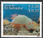 Stamps El Salvador -  fauna marina