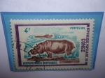 Stamps Republic of the Congo -  Congo República (Brazzaville)- Hipopotamo- Hippopotamus Amphibius- Serie: Animales Salvajes (1972)