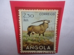Stamps : Africa : Angola :  Guelengue (Oryx Gazella Blainei) - Serie: Fauna Africana - Sello de 2,30 Angolar.