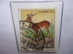 Stamps : Africa : Angola :  Impala (Aepyceros Melampus Peterci) - Serie: Fauna Africana
