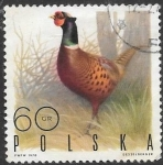 Stamps Poland -  aves