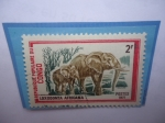 Stamps Republic of the Congo -  Elefante Africano- Loxodonta Africana- Serie Fauna Salvaje (1972)- Sello de 2 FCFA- Fr. África Centr