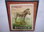 Sellos de Africa - Angola -  Zebra Da Montanha -Equus (Hippotigris) Hartmannae- Serie: Fauna Africana- Sello de 1 Ags. Angoleño.