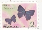 Stamps North Korea -  Mariposa-Rapala arata