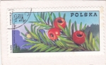 Stamps Poland -  Rama de tejo con bayas, y montañas sudéticas