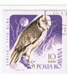 Stamps : Europe : Romania :  Striga Tyto Alba