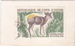 Stamps Ivory Coast -  Cepalopus sylvicultor